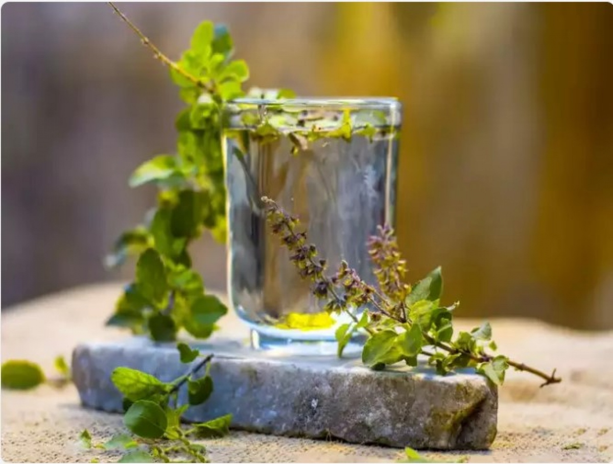 Nước hương nhu: Từ lâu nước từ lá cây hương nhu đã được sử dụng để điều trị một số loại bệnh. Hương nhu có tác dụng chống nhiễm trùng và hỗ trợ phục hồi nhanh chóng. Vì thế bạn hãy đun sôi lá hương nhu với nước lọc. Sau đó dùng nước này, thêm một ít nước cốt chanh và mật ong vào để uống khi còn ấm.