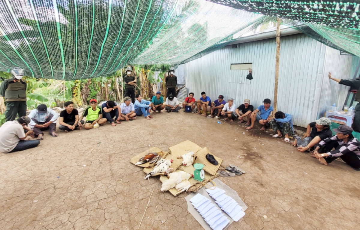 Các đối tượng đá gà (hàng ngồi) bị Phòng CSHS Công an tỉnh Bạc Liêu bắt quả tang.