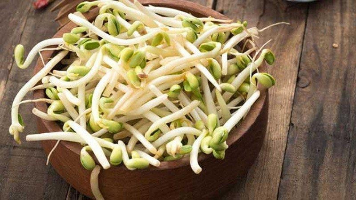 Chế biến giá đỗ thế nào