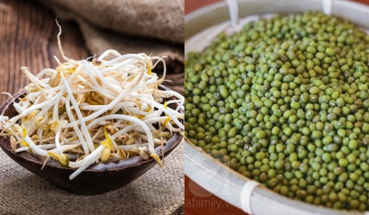Dinh dưỡng từ giá đỗ