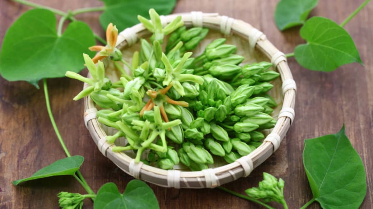Hoa thiên lý hỗ trợ người bị bệnh trĩ.