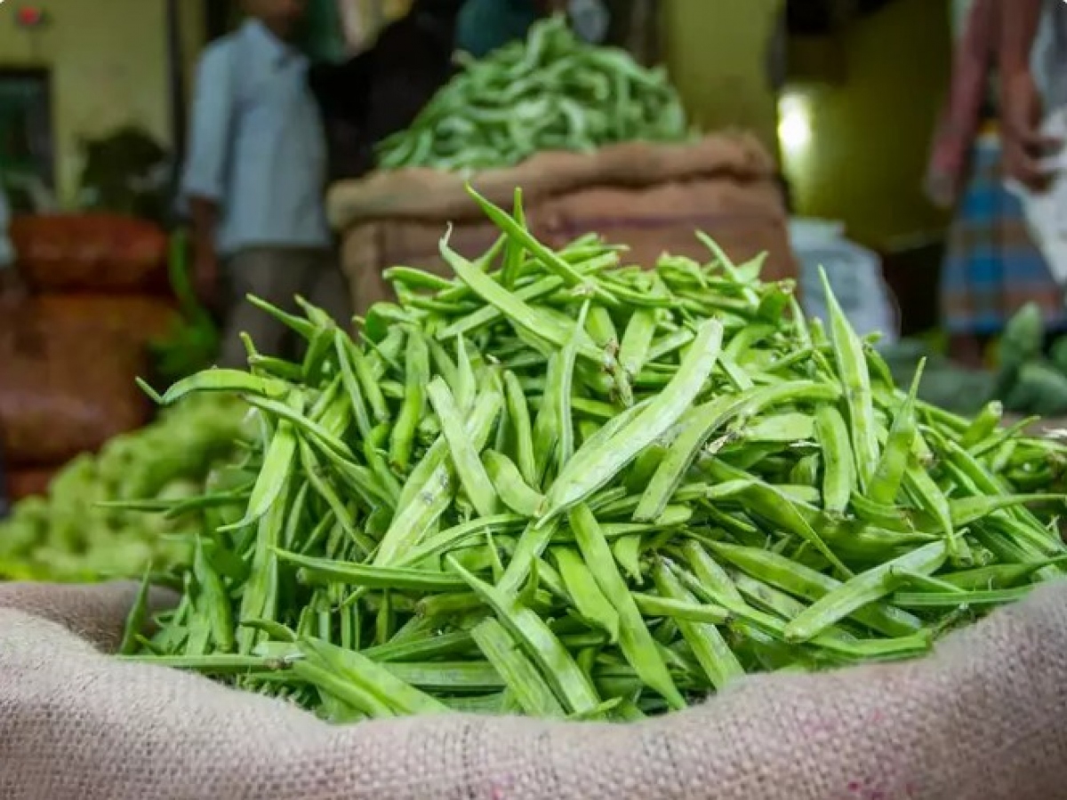 Rau đậu chùm là thực phẩm giàu protein, vitamin K, C, A, phốt pho, canxi, kali và chất xơ hòa tan. Những chất dinh dưỡng này giúp bảo vệ cơ thể khỏi bệnh tật.