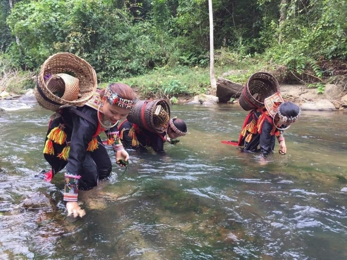 Phụ nữ Dao lấy rêu suối về chế biến các món ăn, một trong những quà tặng của thiên nhiên ở những dòng suối trong mát