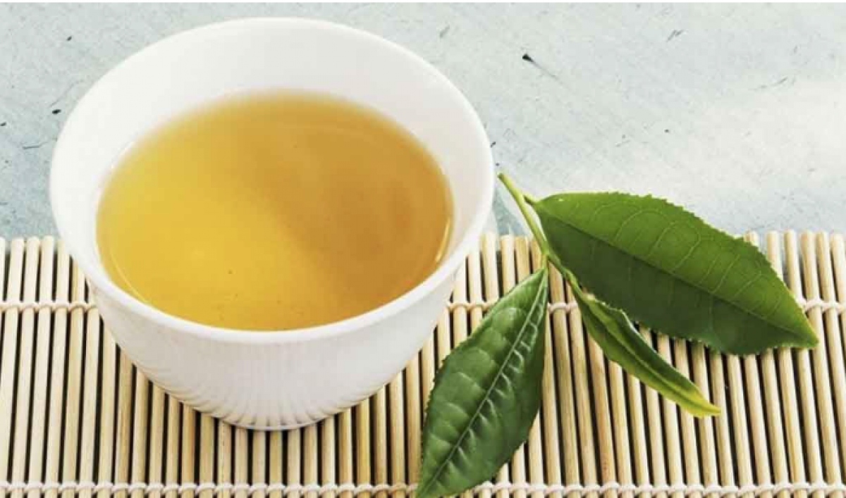 Trà xanh giúp tăng cường trí nhớ