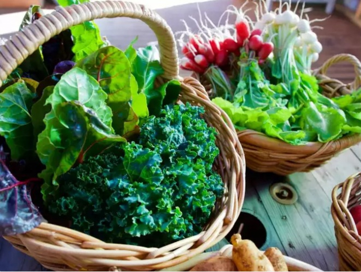 Lá xanh: Rau lá xanh là một nguồn dinh dưỡng, giàu vitamin, khoáng chất và chất chống oxy hóa tự nhiên giúp chống viêm hiệu quả. Thực tế cho thấy, bổ sung các loại rau lá xanh như rau bina, cải xoăn, bông cải xanh giúp tăng cường sức khỏe tổng thể và khả năng miễn dịch.