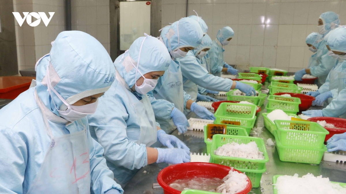 Giá trị xuất khẩu thuỷ sản những tháng gần đây đã cao hơn những tháng đầu năm