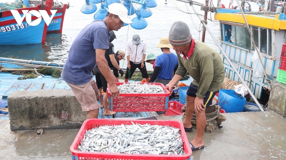 Đối với chống khai thác IUU, ngành nông nghiệp không chỉ quan tâm đến việc xây dựng thể chế tốt mà còn quan tâm đến ý thức ngư dân, từ thể chế nhà nước đến hành động của ngư dân