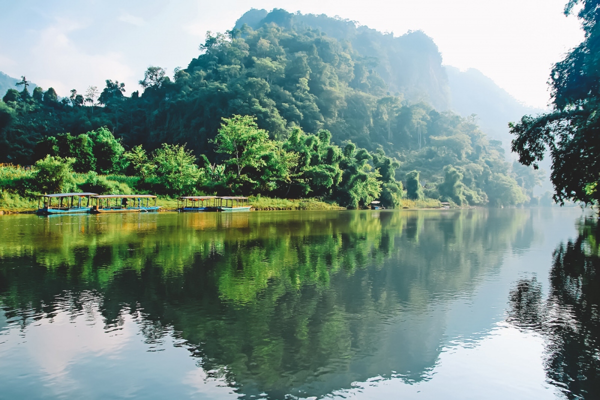 Ba Be National Park is a haven for everything from macaques and langur monkeys to rare black bears, scaly pangolins, and the spectacular crested serpent eagle.