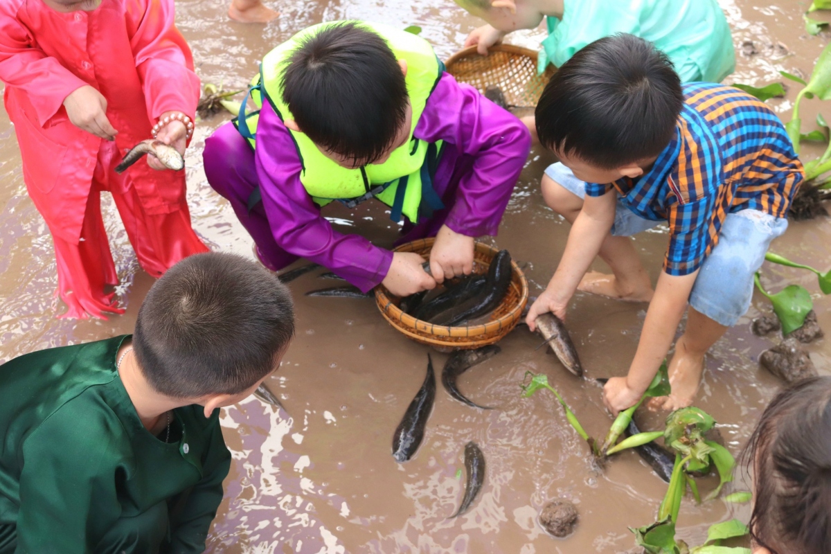 Tận tay bắt những con cá, hòa mình vào sông nước giúp các bé hình thành tình yêu quê hương miền Tây Nam bộ