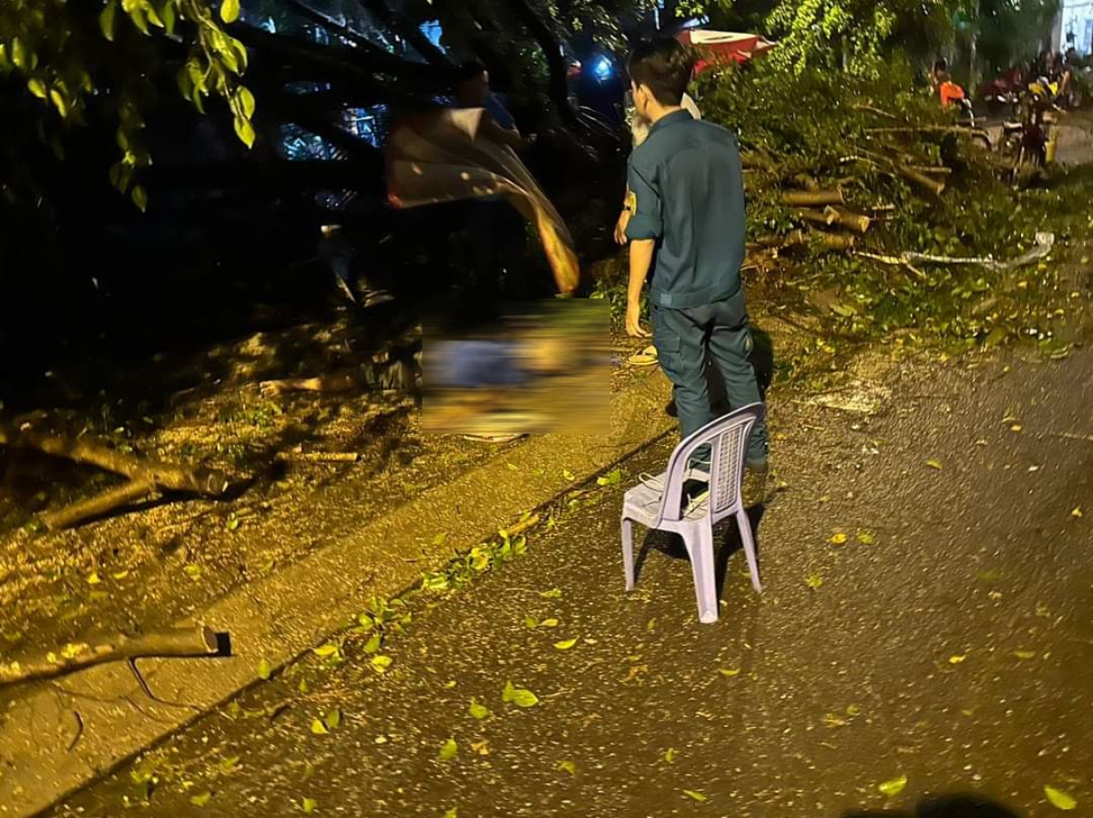 Người đàn ông tử vong sau khi bị cây đè vào người. (Ảnh: CACC)