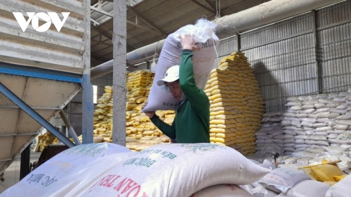 Ngày 4/8, giá gạo xuất khẩu của Việt Nam tiếp tục tăng 5 USD/tấn.