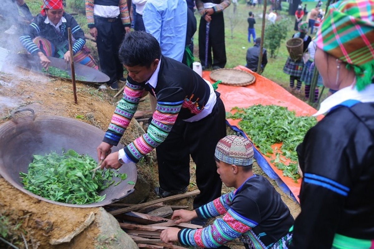 Chế biến chè Shan tuyết Suối Giàng tại Lễ hội Trà Shan tuyết.