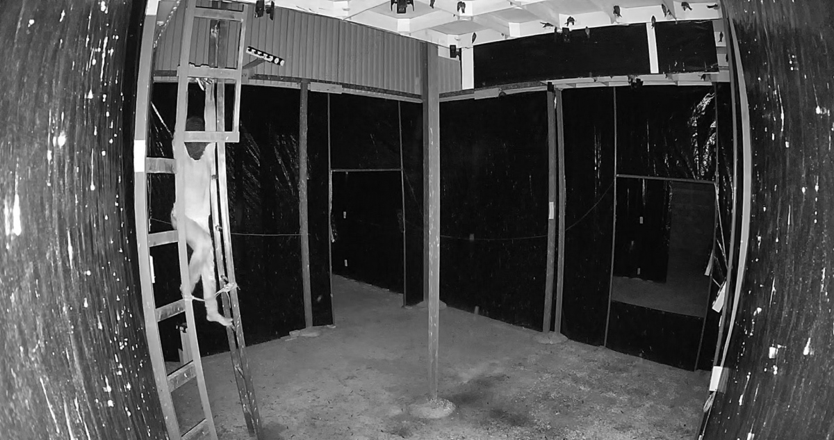 Nhà yến của công ty Trí Sơn bị kẻ trộm đột nhập vào đêm tối 