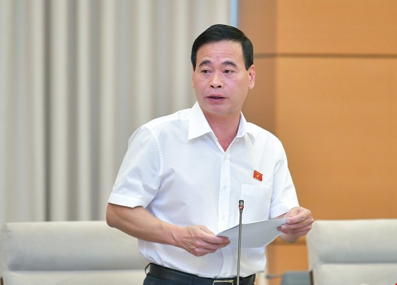Phó Chủ nhiệm Ủy ban Tư pháp Nguyễn Mạnh Cường