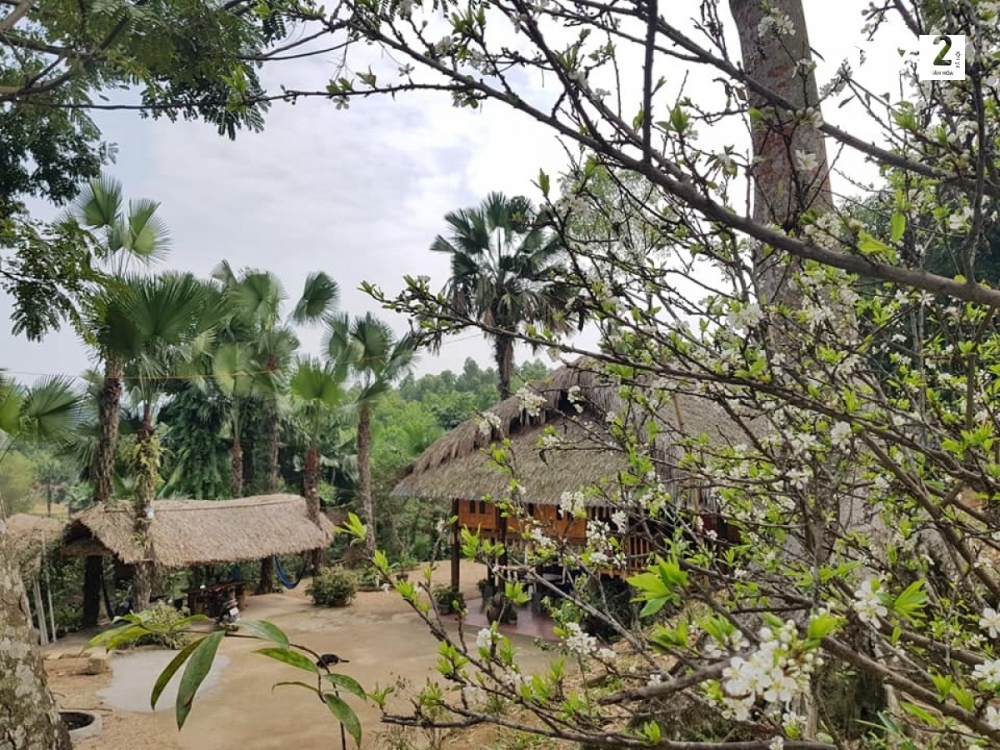 Vẻ đẹp bình yên tại xã Vũ Linh, huyện Yên Bình