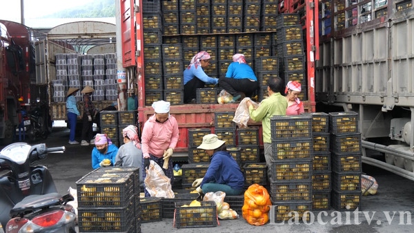 Tiền công từ 200.000 - 300.000 đồng/ngày đem lại nguồn thu ổn định cho người lao động