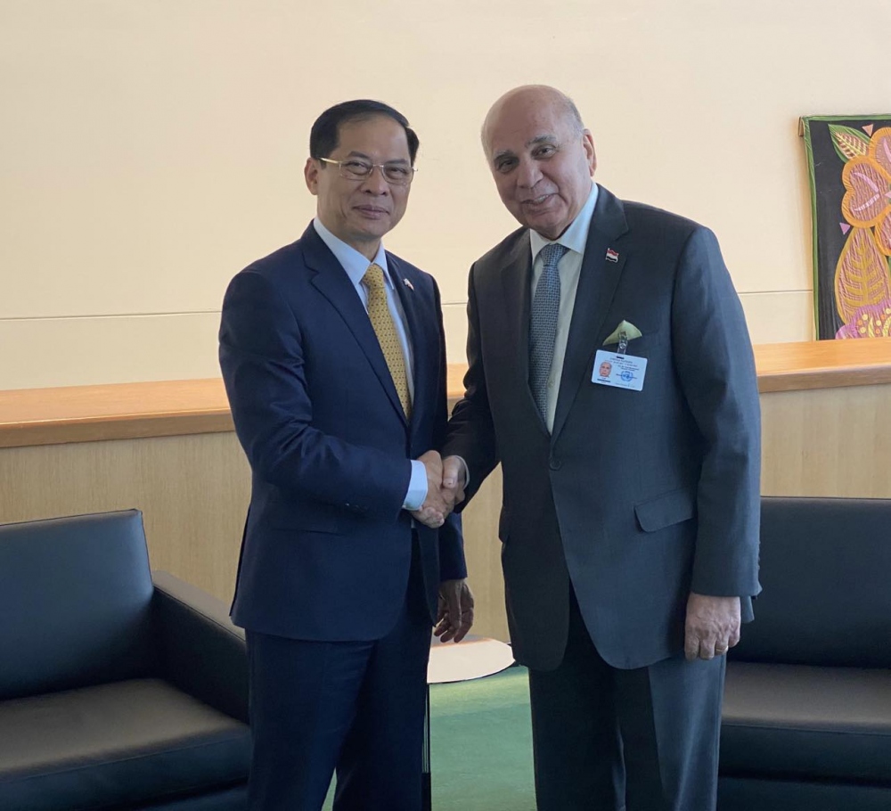 Bộ trưởng Bùi Thanh Sơn gặp Phó Thủ tướng, Bộ trưởng Ngoại giao Iraq Fuad Mohamed Hussein