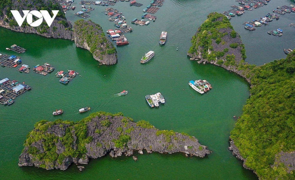 The archipelago is home to 4,910 species of rare plants and animals, and it houses the country’s largest maritime forest with an area stretching for more than 17,000 hectares. Among them, 198 species are on the International Union for Conservation of Nature's Red List of Threatened Species, including 51 endemic species. In particular, the Cat Ba Langur (Trachypithecus poliocephalus) is a rare species which features on the list of animals at highest risk of extinction.