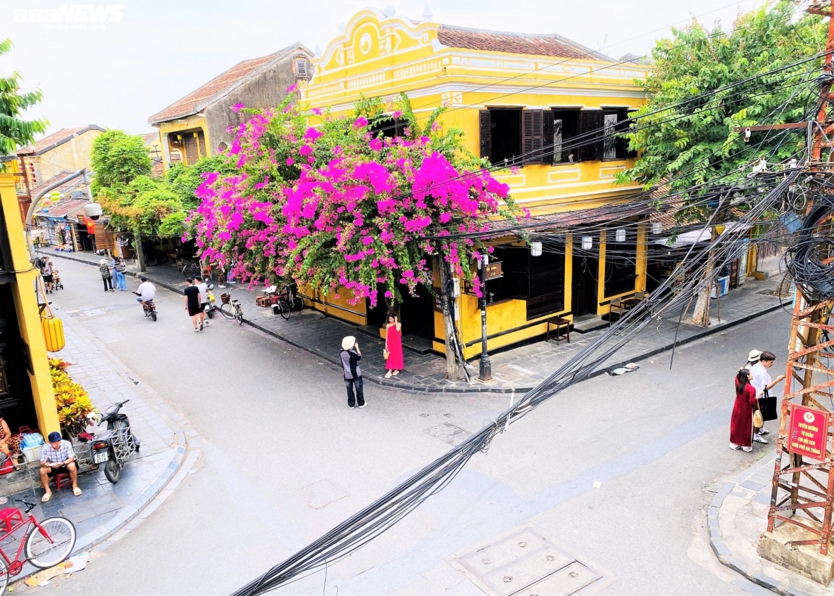 Tương tự, ở khu vực ngã tư Trần Phú - Lê Lợi, lác đác du khách tập trung chụp ảnh cùng cây hoa giấy.