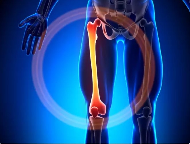 Chụp cộng hưởng từ (MRI): MRI sử dụng từ trường thay vì tia X để tạo ra hình ảnh cơ thể chi tiết. Nó có thể đo kích thước khối u và phát hiện sự liên quan của các mô mềm gần đó. Chất tương phản có thể được sử dụng hoặc không để nâng cao chất lượng hình ảnh.