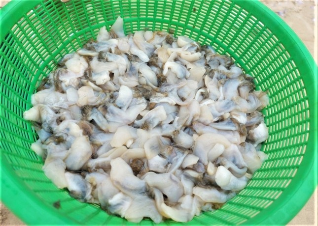 Sò tím bị sóng đánh vào nhiều con đã bị chết, mở miệng. Người dân sẽ phân loại, tách vỏ để đem về làm thực phẩm hoặc nhập cho thương lái ngay tại bờ biển với giá 20.000 đồng/kg
