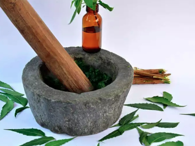 Điều hòa lượng đường trong máu: Vị đắng của neem phù hợp với bệnh nhân tiểu đường. Khi sử dụng loại lá này sẽ giúp kiểm soát lượng đường trong máu. Nếu bạn có vấn đề về lượng đường trong máu, bạn nên sử dụng lá neem vì có thể cơ thể sẽ nhận được những lợi ích liên quan khác từ loại lá này.