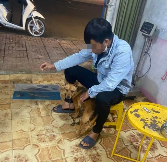 Một người dân ở thành phố Plei Ku đưa chó nuôi đi chích ngừa bệnh dại