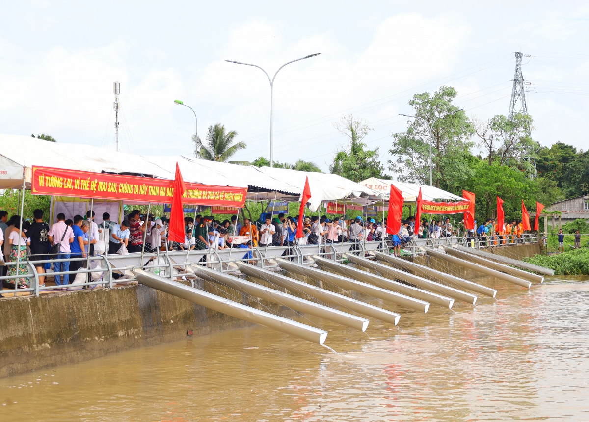 Đã có hơn 1 triệu con giống được thả xuống sông Hậu.