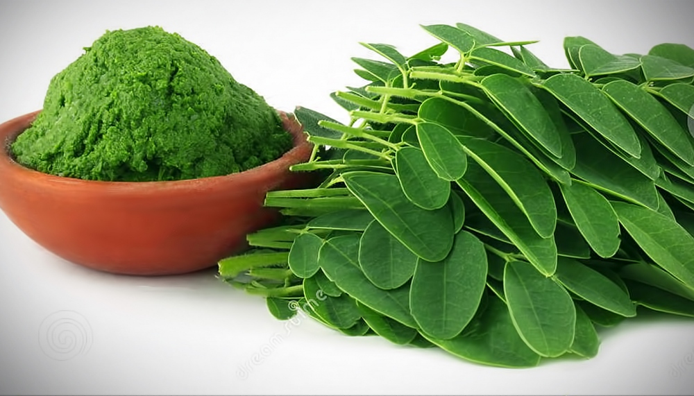 Bột chùm ngây giúp hỗ trợ tiêu hóa.