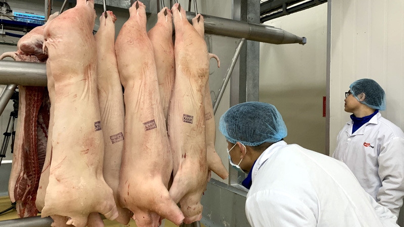 Thị trường ế ẩm, giá lợn hơi khó phục hồi