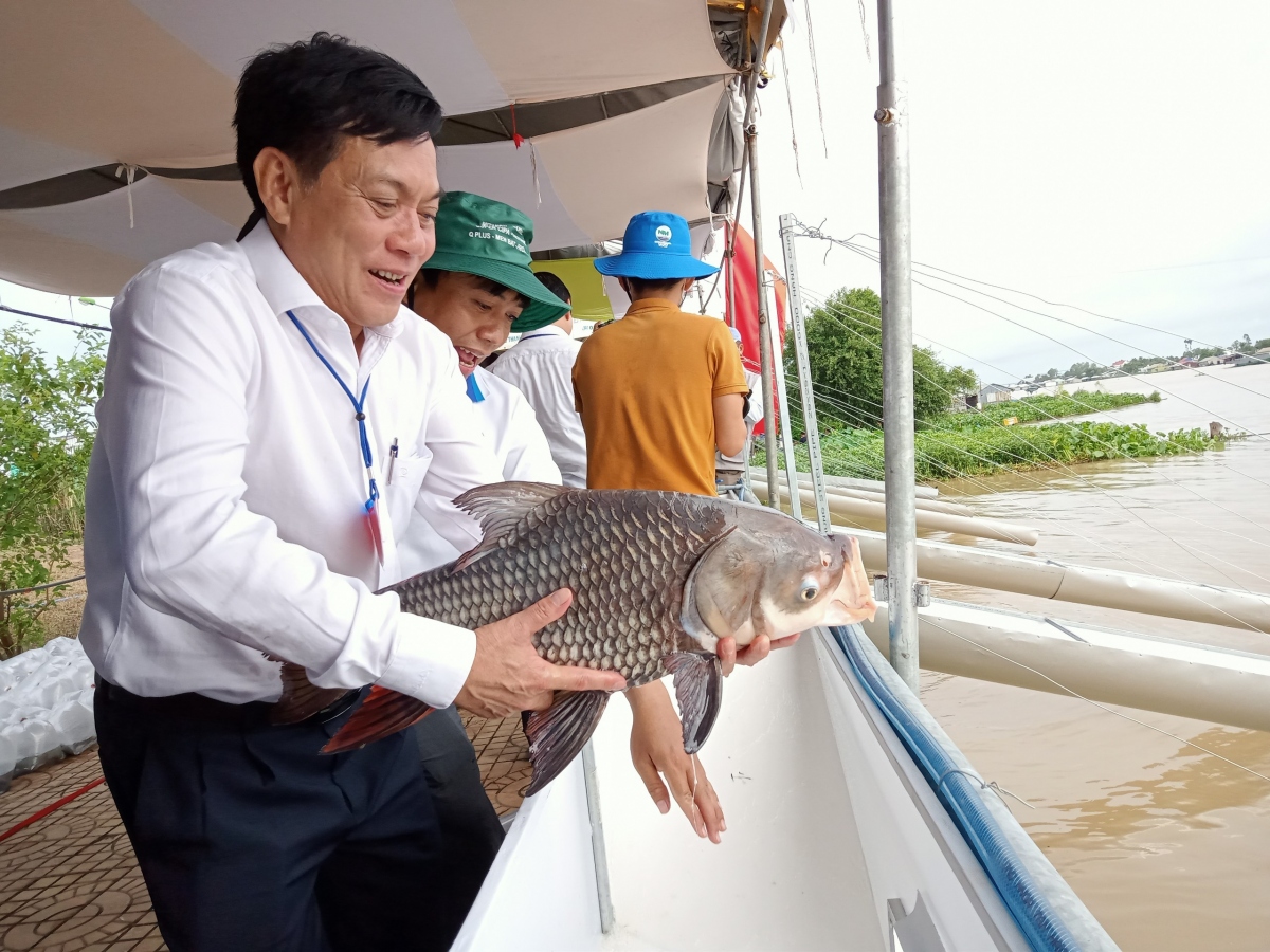 Hơn 1 triệu con cá giống các loại được thả xuống sông Hậu, tương đương hơn 11 tấn.
