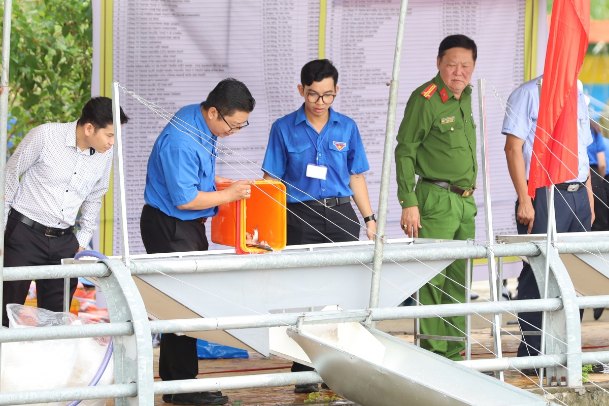 Hơn 1 triệu con cá giống được thả xuống sông Hậu nhằm tái tạo nguồn lợi thủy sản.