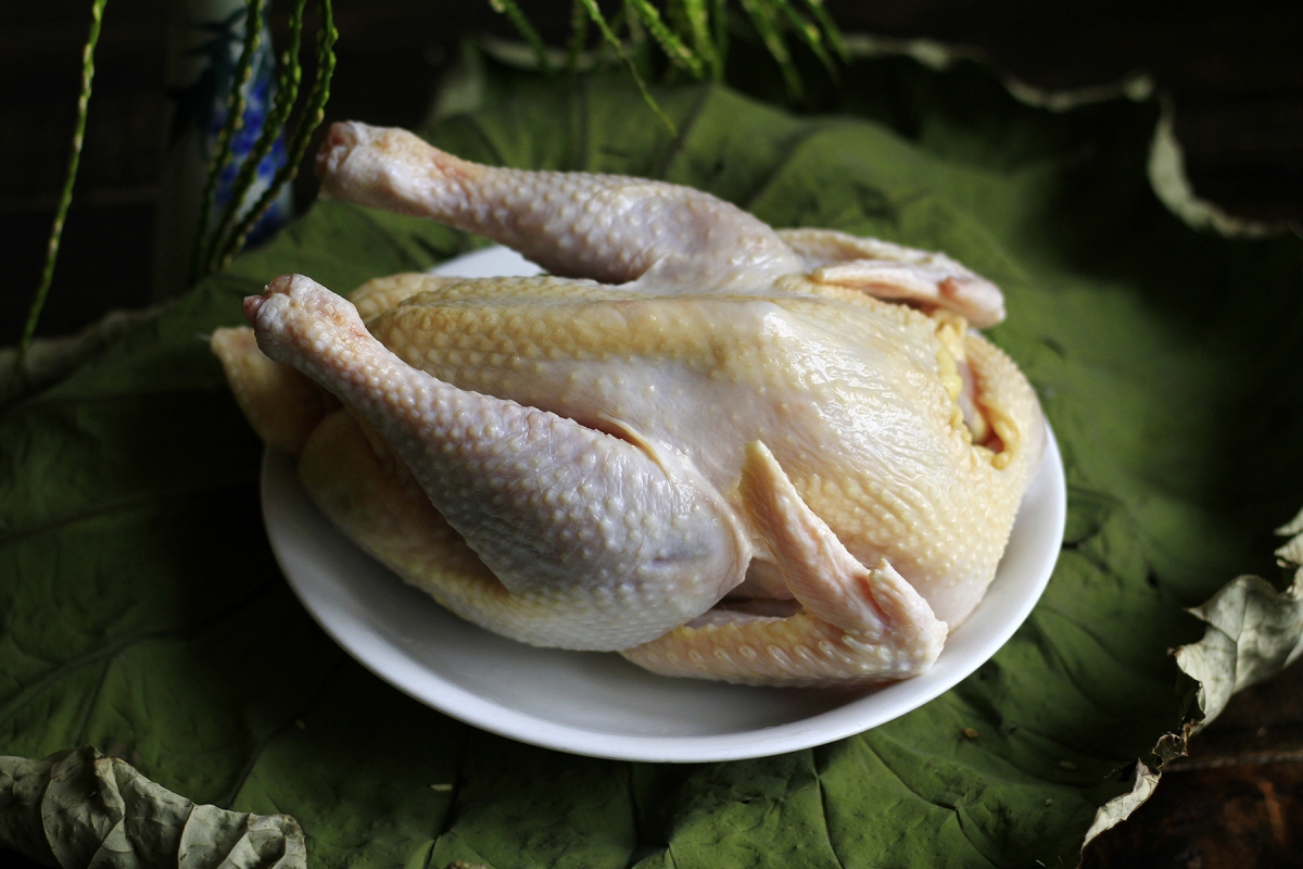 Giúp xương chắc khỏe: Protein có trong thịt gà không chỉ giúp cơ bắp phát triển mà còn cải thiện mật độ xương. Do đó, thịt gà đặc biệt có lợi cho những người thường xuyên vận động hay chơi thể thao. 