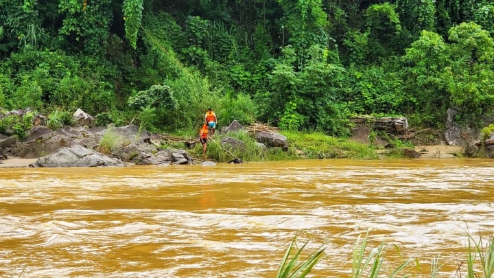 Bà H. bị lũ cuốn thiệt mạng khi đang lội qua suối để vào rẫy gặt lúa. (Ảnh minh họa)