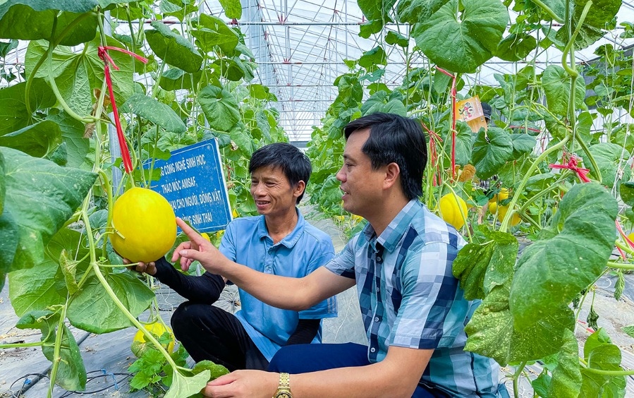 Hỗ trợ người dân xóa đói giảm nghèo. Ảnh MTTQ Nghệ An.