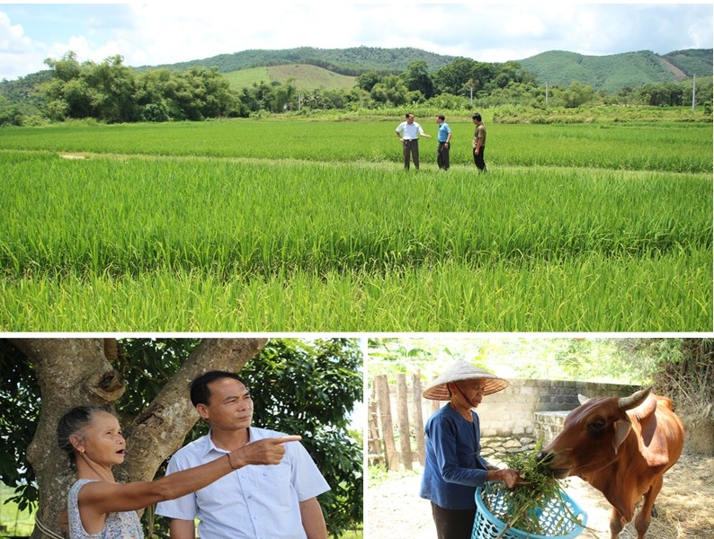 Hỗ trợ người dân xóa đói giảm nghèo. Ảnh MTTQ Nghệ An.