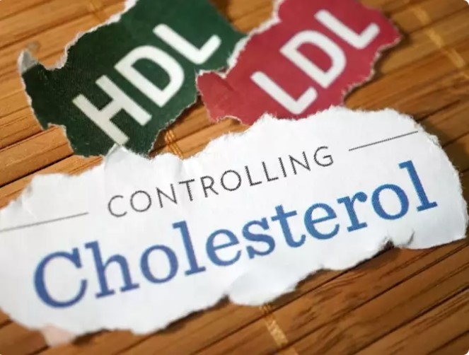 Cholesterol cao có ý nghĩa gì?: Mức LDL-C cao cùng với mức HDL-C thấp hơn có thể làm tăng nguy cơ mắc bệnh tim, đặc biệt đối với những người đã từng bị bệnh tim. Gần đây các ca mắc bệnh tim gia tăng, nguyên nhân chính là do mức cholesterol cao. Do đó, mỗi cá nhân hãy hiểu và duy trì mức cholesterol của mình, chẳng hạn như HDL-C và LDL-C rất quan trọng vì nhiều bệnh nhân không biết về mối liên hệ giữa cholesterol và các bệnh tim mạch.