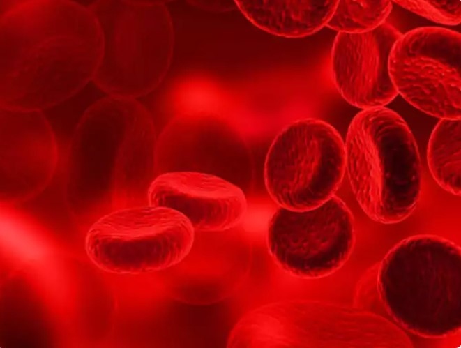 Lầm tưởng: Hóa trị cực kỳ đau đớn và gây rụng tóc vĩnh viễn: Sự thật là không có lý do gì khiến hóa trị lại gây đau trừ khi việc truyền tĩnh mạch không đúng cách. Mặc dù rụng tóc là tác dụng phụ thường gặp của hóa trị nhưng nó không xảy ra với tất cả mọi người và không phải là vĩnh viễn.