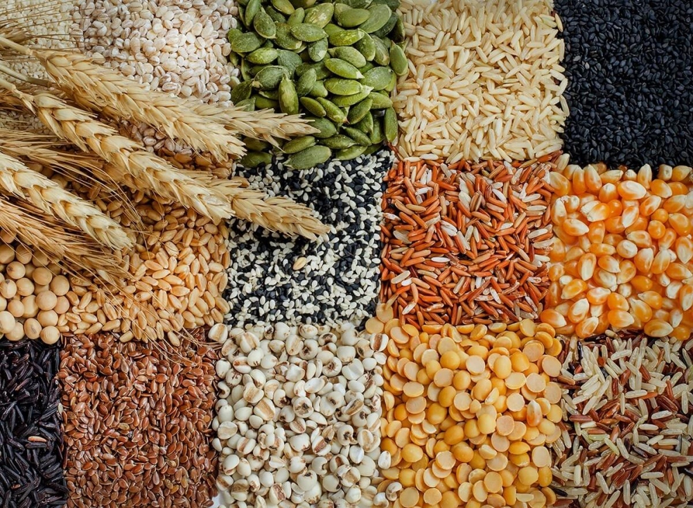 Các loại ngũ cốc: Các thực phẩm như gạo lứt, bánh mì nguyên hạt và yến mạch giải phóng năng lượng từ từ và giúp ổn định lượng đường trong máu, điều này có thể ngăn ngừa chứng đau đầu do lượng đường trong máu thấp.
