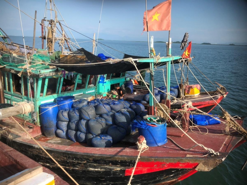 Tàu cá đánh bắt sai vùng bị bắt giữ (Ảnh: Xuân Hùng)