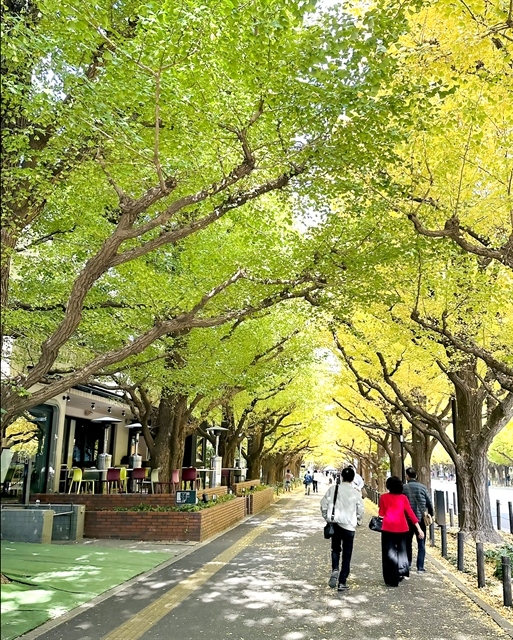 Vietnamese tourists visit Tokyo Japan. Vietnamese are among those who crave holidaying abroad the most across Southeast Asia. — VNS Photo Thu Ngan