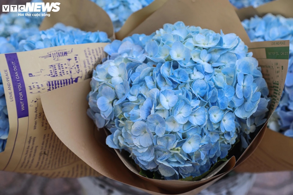 Một số loại hoa nhập ngoại tăng nhẹ như hoa tulip Hà Lan 110.000 - 130.000 đồng/bông, hoa hồng Ecuador 120.000 - 150.000 đồng/bông.