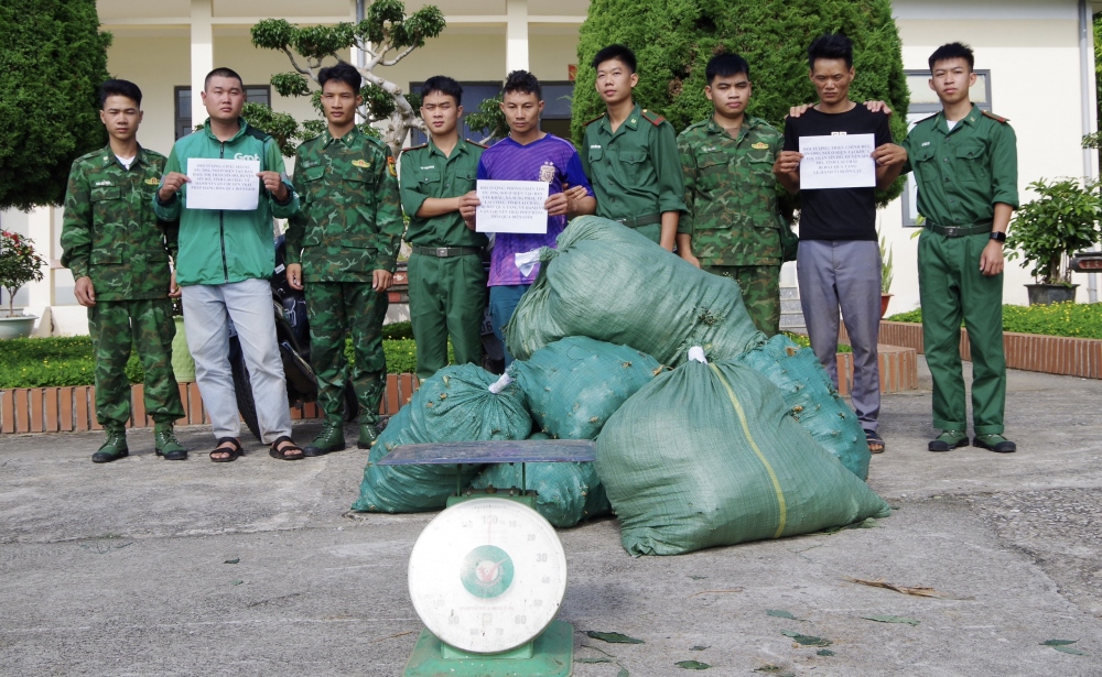Đồn Biên Phòng Huổi Luông (Bộ đội Biên phòng tỉnh Lai Châu) bắt giữ 3 đối tượng vận chuyển 120kg sâm không rõ nguồn gốc