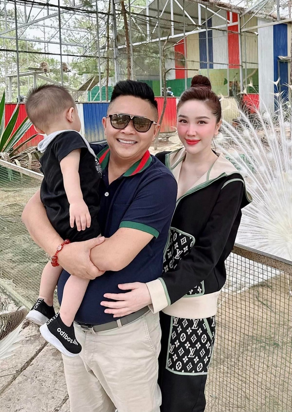 Bảo Thy từng là một trong những ca sĩ nổi tiếng đầu thập niên 2010. Cô được khán giả yêu thích qua các ca khúc thuộc dòng nhạc teen pop và gắn với hình tượng "kẹo ngọt" đáng yêu. Sau khi lui về chăm sóc tổ ấm, Bảo Thy có cuộc sống bình yên, viên mãn bên chồng đại gia và con trai.