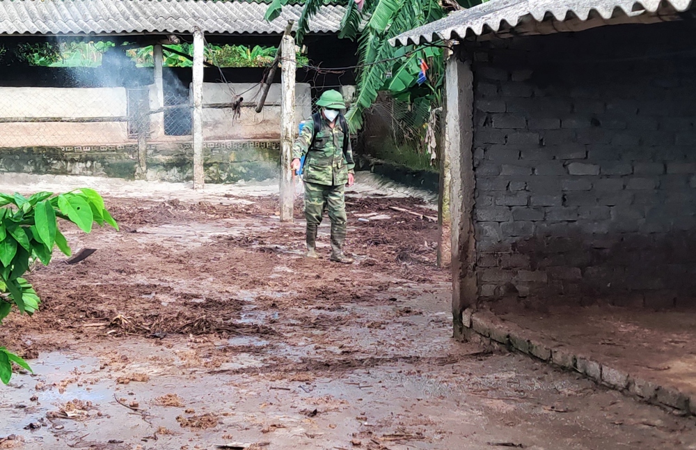 Sau khi tiêu hủy đàn lợn nhiễm bệnh, tiến hành phun tiêu độc khử trùng tại các khu chăn nuôi