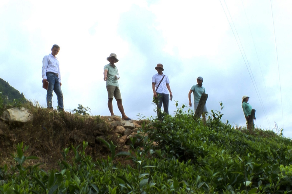 Anh Tòng Văn Tâm cho rằng do đơn vị thi công thủy điện vận chuyển vật liệu qua nương chè gây sạt lún vào đồi chè của gia đình