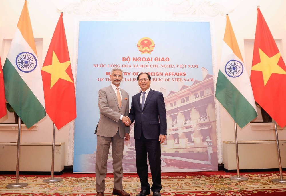 Bộ trưởng Bùi Thanh Sơn hoan nghênh Bộ trưởng Jaishankar thăm chính thức Việt Nam