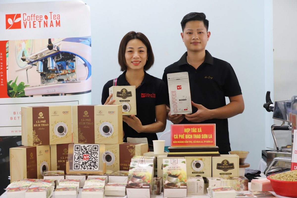 Giá cà phê Robusta tại thị trường nội địa ghi nhận mức tăng cao kỷ lục