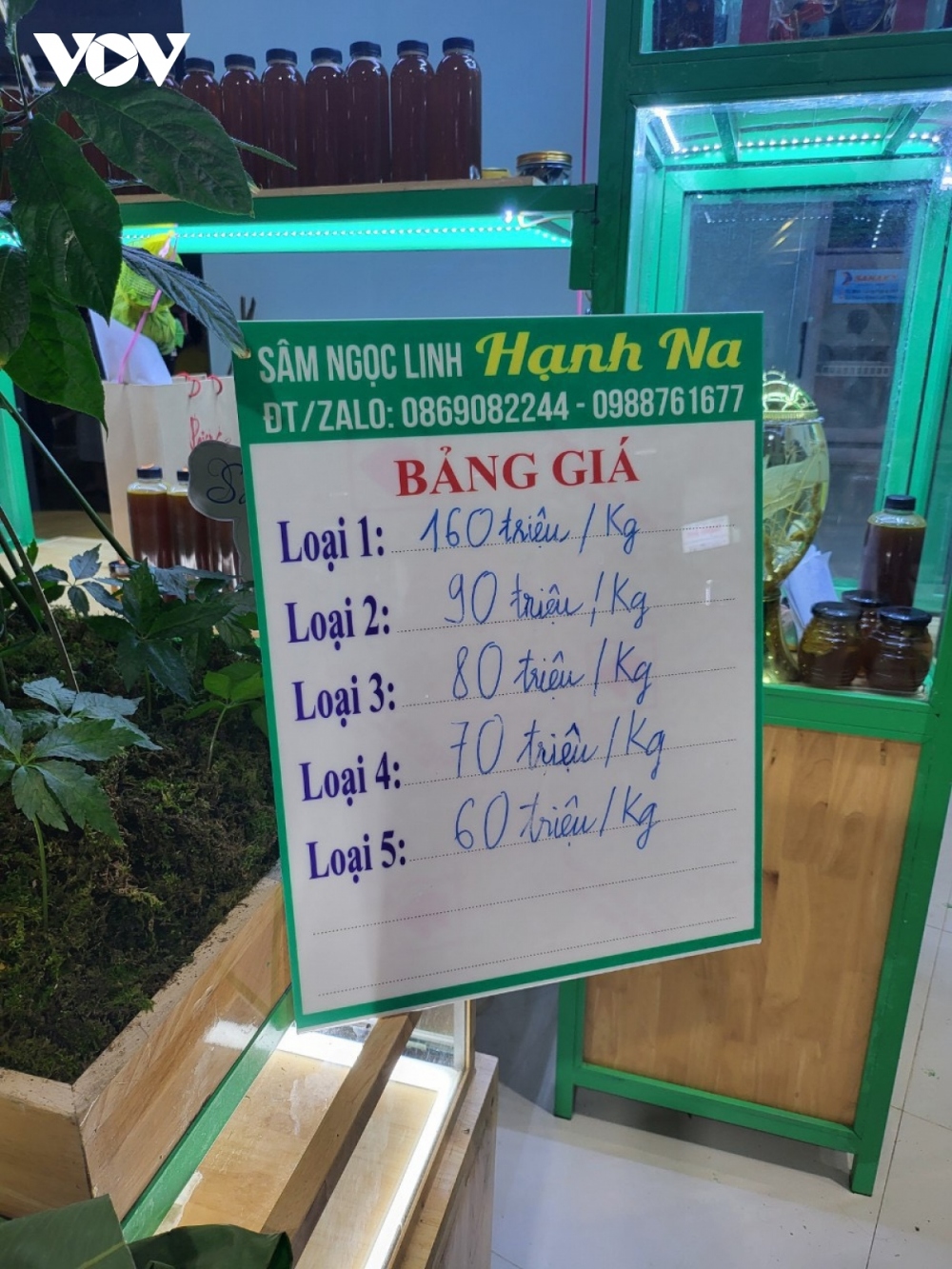 Giá sâm Ngọc Linh tại Hội chợ Sâm Ngọc Linh huyện Nam Trà My tháng 8/2023