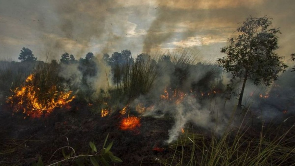 7 tỉnh ở Indonesia hiện đã ban bố tình trạng ứng phó khẩn cấp đối với cháy rừng và cháy đất. Nguồn: VOI
